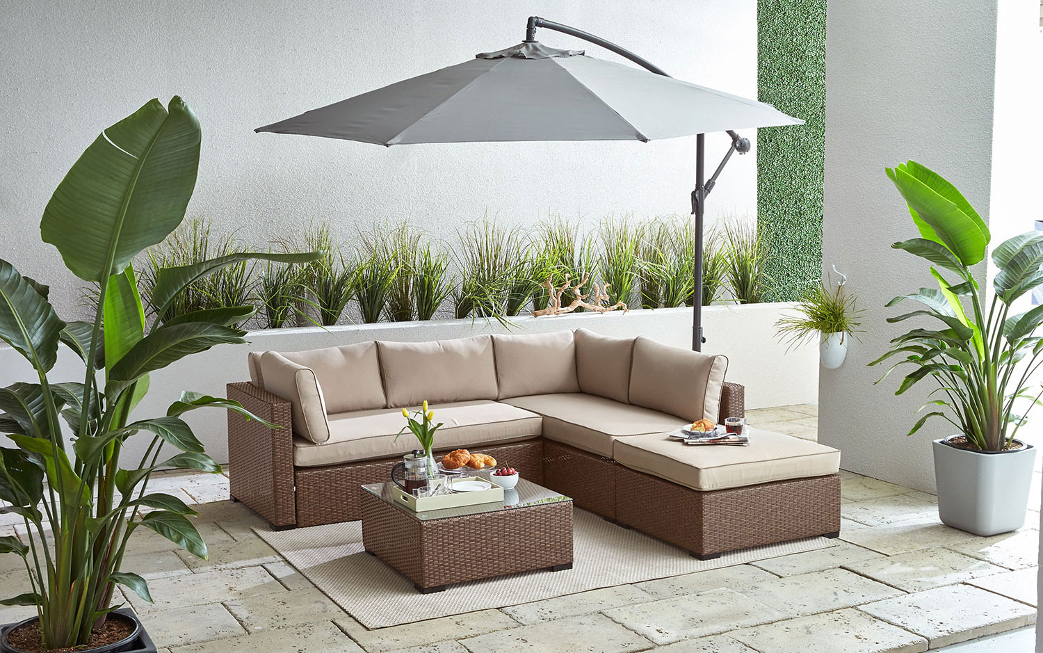 The Caribe Collection