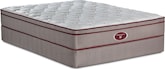 Mattresses and Bedding-Scenic Path Queen Mattress/Foundation Set