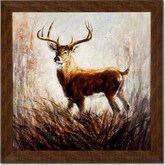 Majestic Deer Framed Print