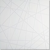 White Web Canvas Print